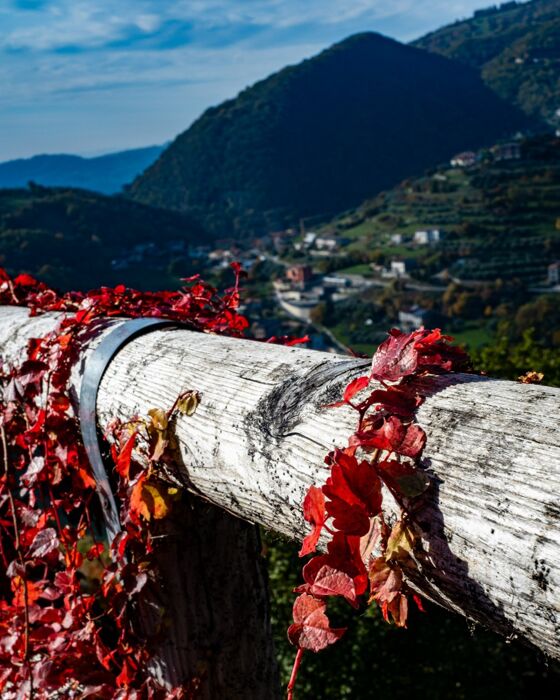 Emozionante trekking tra l'Eremo di San Bovo e le Cascate del Silan Emozionante trekking tra l'Eremo di San Bovo e le Cascate del Silan desktop picture