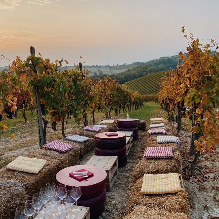 Fine settimana in Monferrato: festa Meeters e degustazione enogastronomica Fine settimana in Monferrato: festa Meeters e degustazione enogastronomica desktop picture