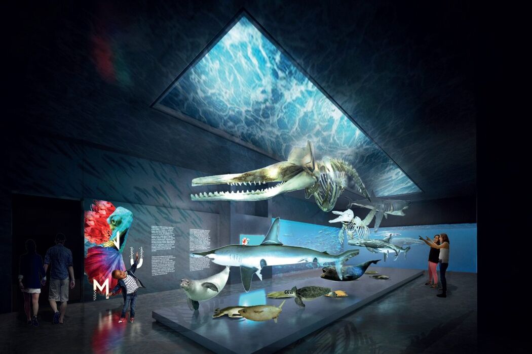 Visita guidata al Museo della Natura e dell'Uomo di Padova Visita guidata al Museo della Natura e dell'Uomo di Padova desktop picture