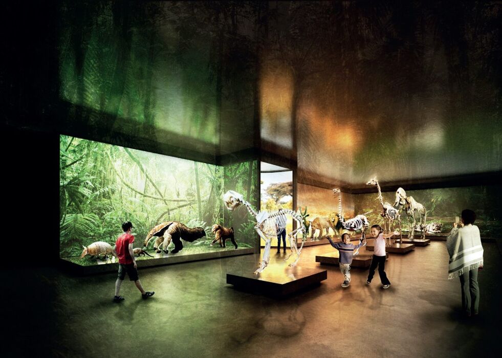 Visita guidata al Museo della Natura e dell'Uomo di Padova Visita guidata al Museo della Natura e dell'Uomo di Padova desktop picture