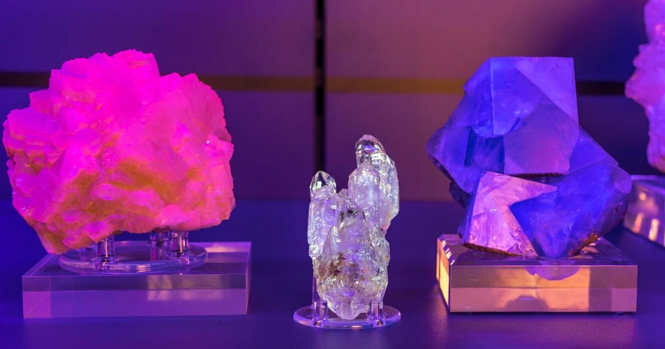 Visita guidata al Museo della Natura e dell'Uomo di Padova Visita guidata al Museo della Natura e dell'Uomo di Padova desktop picture