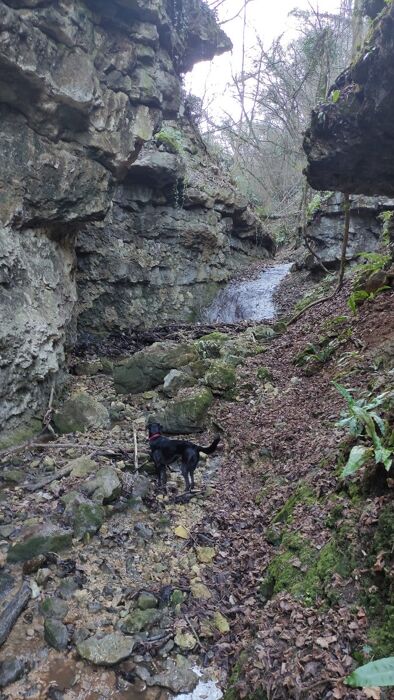 Trekking tra l'Oratorio degli Zanchi e la Forra Nascosta con pranzo in trattoria Trekking tra l'Oratorio degli Zanchi e la Forra Nascosta con pranzo in trattoria desktop picture