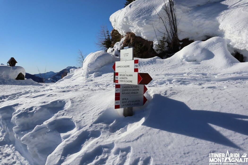 Ciaspolata a Zoppè di Cadore: un'esperienza unica tra monti e foreste Ciaspolata a Zoppè di Cadore: un'esperienza unica tra monti e foreste desktop picture
