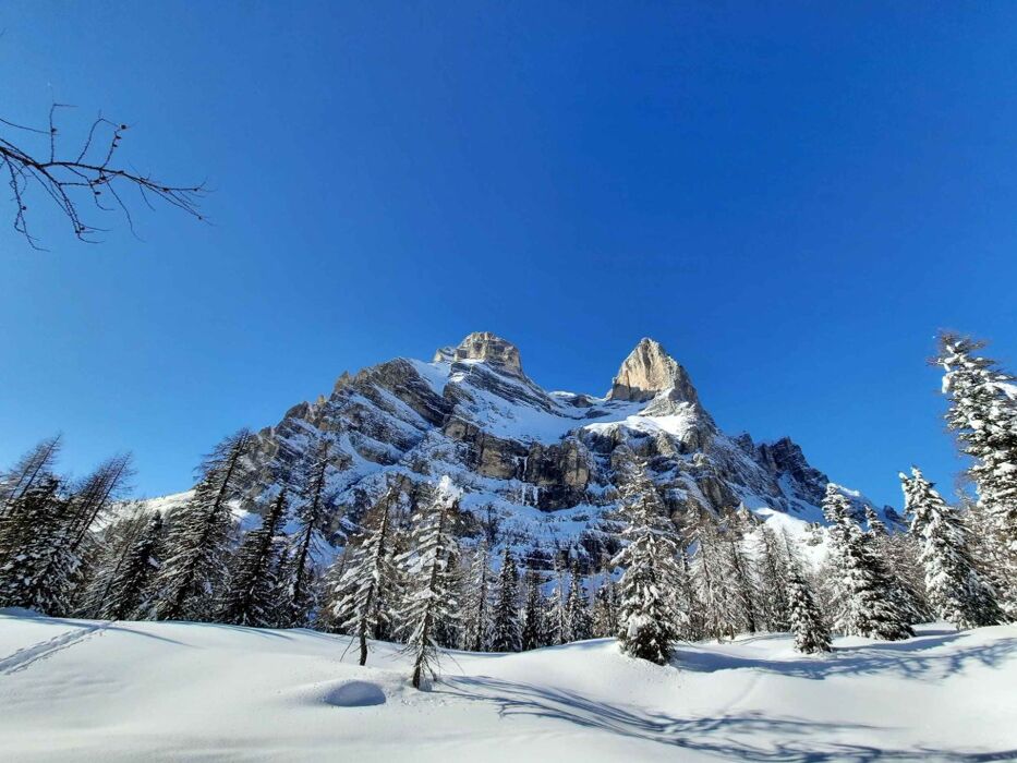 Ciaspolata a Zoppè di Cadore: un'esperienza unica tra monti e foreste Ciaspolata a Zoppè di Cadore: un'esperienza unica tra monti e foreste desktop picture
