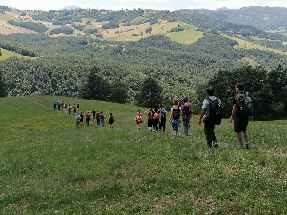 Trekking tra mulini e castelli: da Pompeano a Gombola Trekking tra mulini e castelli: da Pompeano a Gombola desktop picture