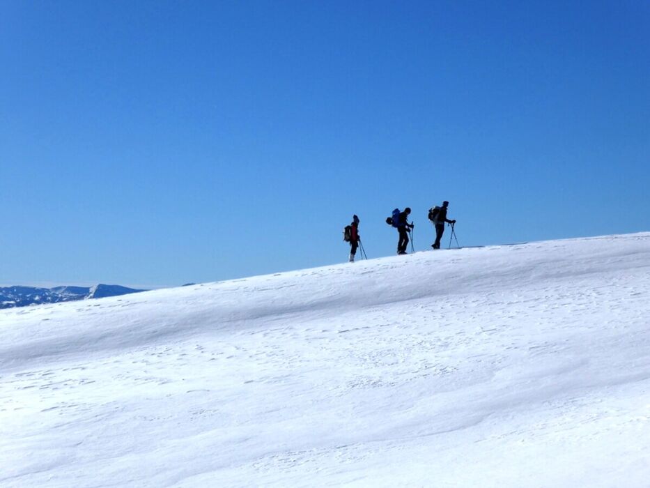 Ciaspolata nella Piana di Marcesina con pranzo in rifugio: la Finlandia d'Italia Ciaspolata nella Piana di Marcesina con pranzo in rifugio: la Finlandia d'Italia desktop picture