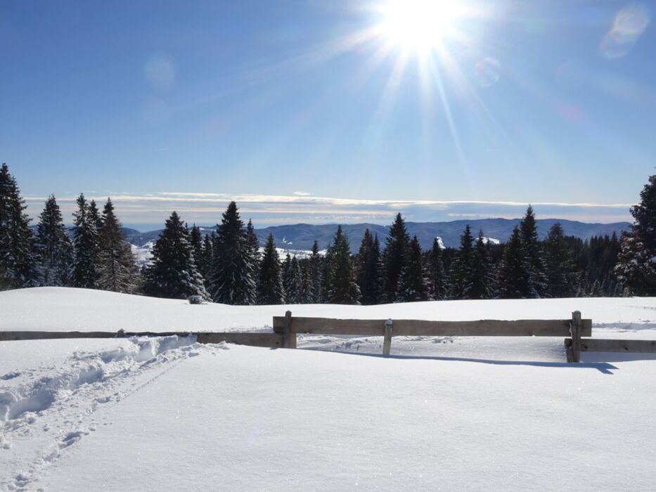 Ciaspolata nella Piana di Marcesina con pranzo in rifugio: la Finlandia d'Italia Ciaspolata nella Piana di Marcesina con pranzo in rifugio: la Finlandia d'Italia desktop picture