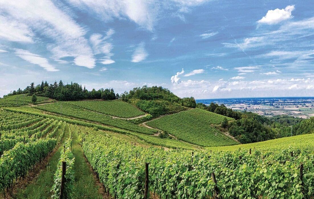 Trekking tra le colline tortonesi: sulle pendici del Monte Gambera Trekking tra le colline tortonesi: sulle pendici del Monte Gambera desktop picture
