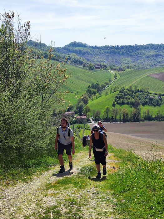 Escursione lungo l'Antica Via Cassia: storia, natura e bellezze medievali Escursione lungo l'Antica Via Cassia: storia, natura e bellezze medievali desktop picture