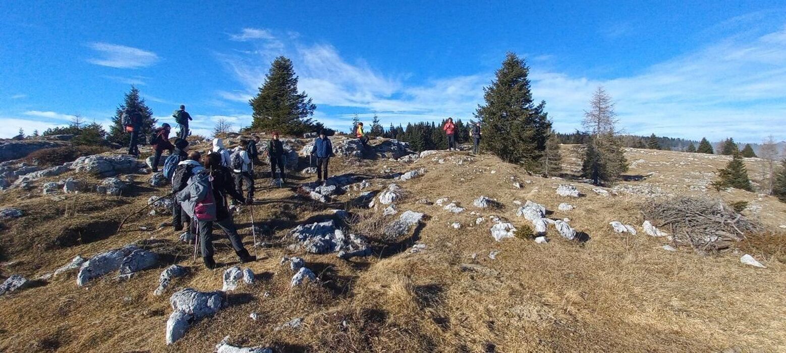 Escursione sulle colline di San Zenone degli Ezzelini tra natura e storia Escursione sulle colline di San Zenone degli Ezzelini tra natura e storia desktop picture