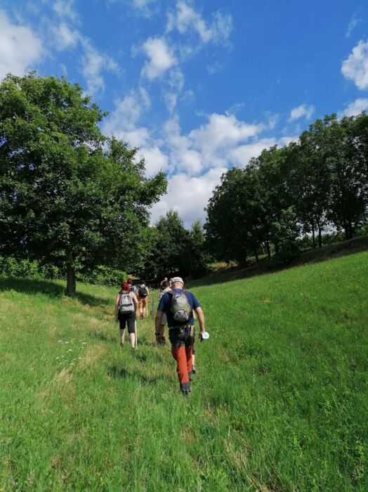 Colli Berici: la natura e la storia di San Germano dei Berici in Val Liona Colli Berici: la natura e la storia di San Germano dei Berici in Val Liona desktop picture