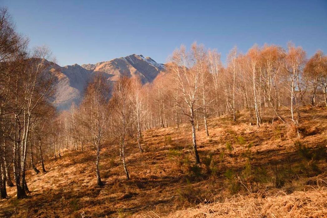 Trekking alla scoperta dei Fiordi d'Italia: tra natura e sapori montani Trekking alla scoperta dei Fiordi d'Italia: tra natura e sapori montani desktop picture
