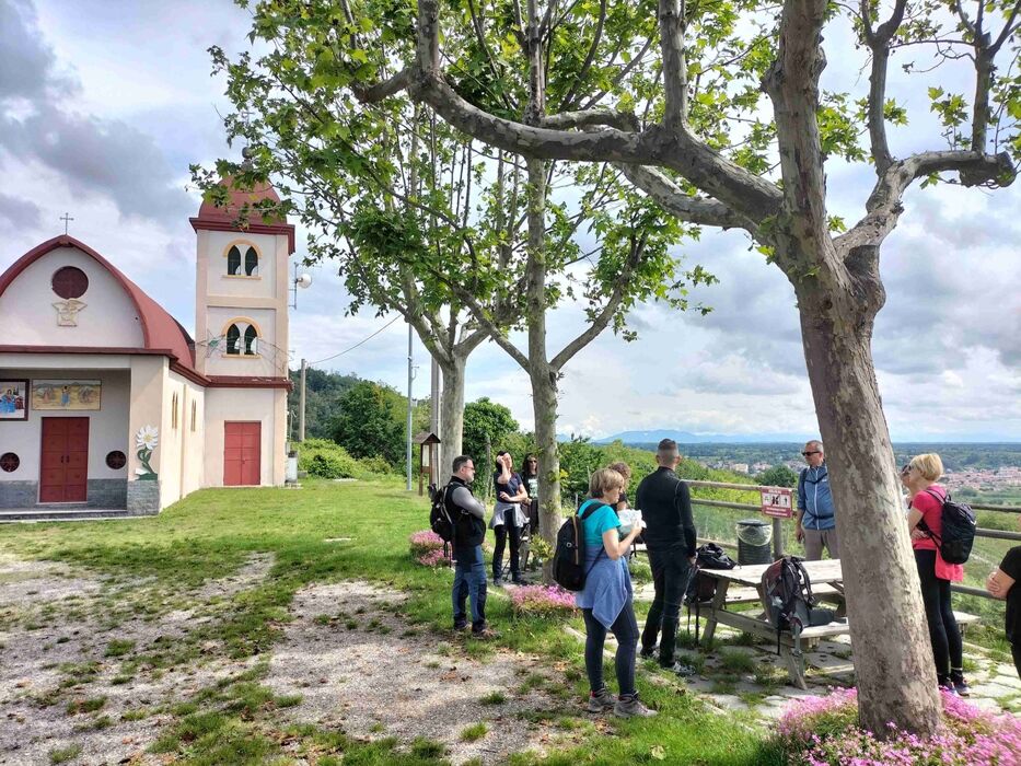 Trekking panoramico tra le vigne di Gattinara Trekking panoramico tra le vigne di Gattinara desktop picture