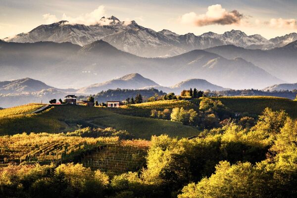 Event card Trekking panoramico tra le vigne di Gattinara cover image