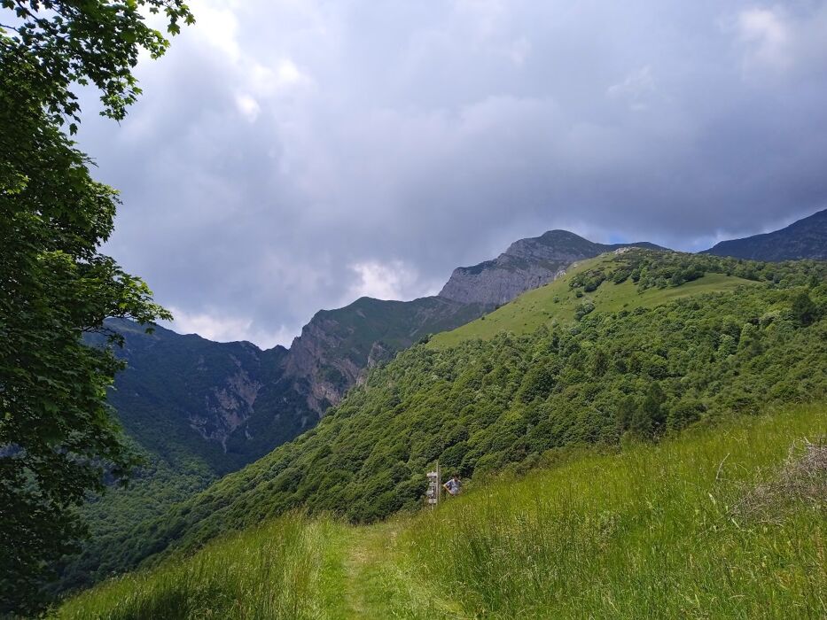 Trekking al Pialeral tra prati, torrenti e le pendici della Grigna Trekking al Pialeral tra prati, torrenti e le pendici della Grigna desktop picture