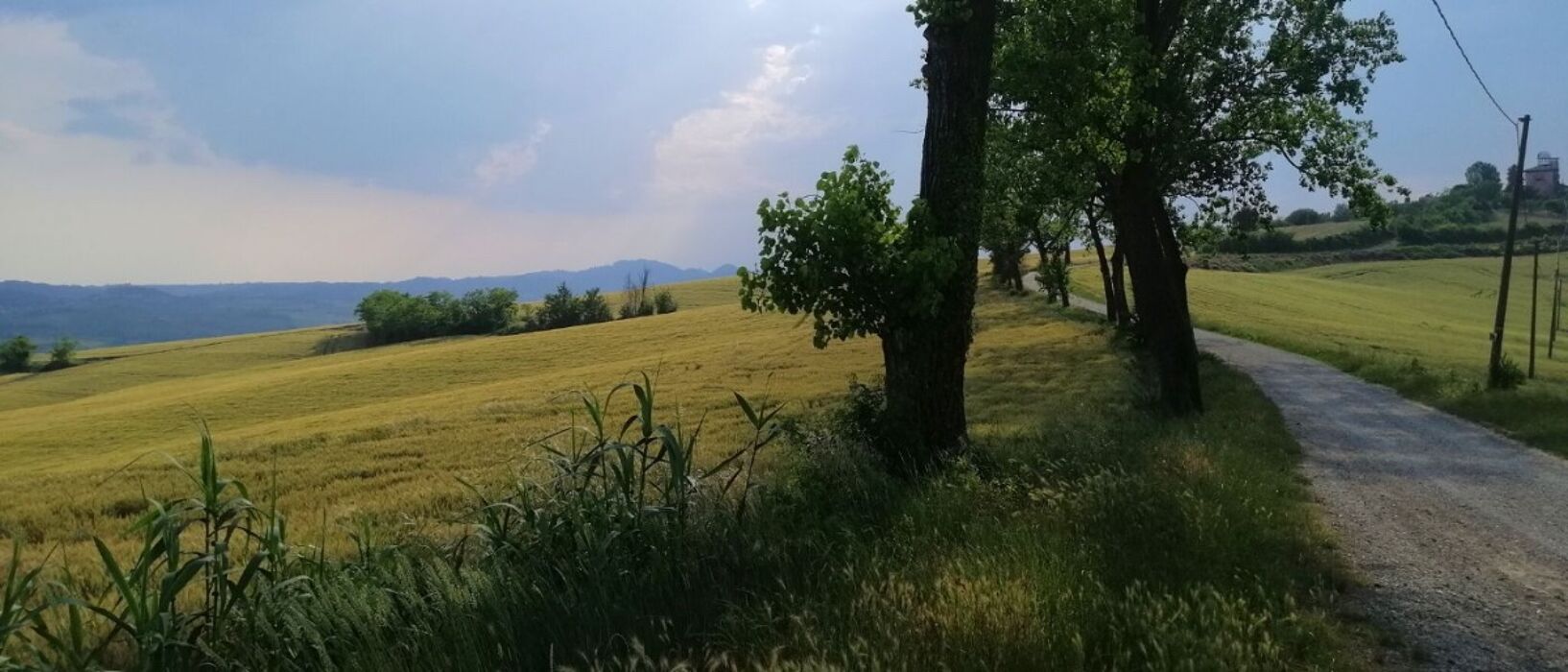 Sentiero la Grotta di Lourdes: Giro ad Anello da Casale Monferrato Sentiero la Grotta di Lourdes: Giro ad Anello da Casale Monferrato desktop picture
