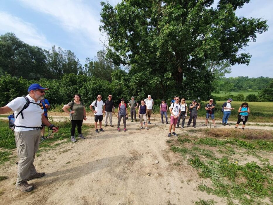 Percorso ad Anello tra i vigneti di Montebello a Rocca Grimalda Percorso ad Anello tra i vigneti di Montebello a Rocca Grimalda desktop picture