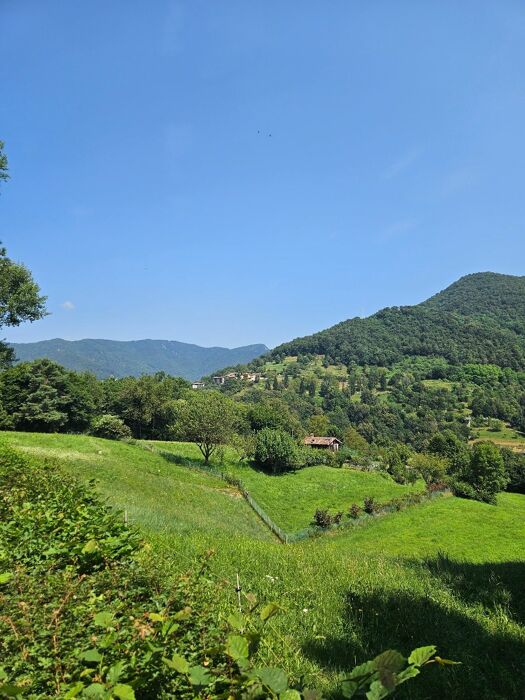 Escursione nella valle del Giongo: un tuffo nella Biodiversità Escursione nella valle del Giongo: un tuffo nella Biodiversità desktop picture