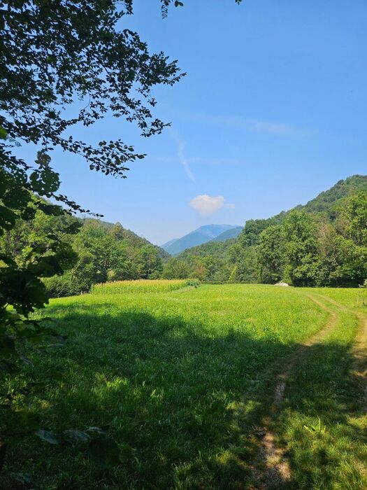 Escursione nella valle del Giongo: un tuffo nella Biodiversità Escursione nella valle del Giongo: un tuffo nella Biodiversità desktop picture