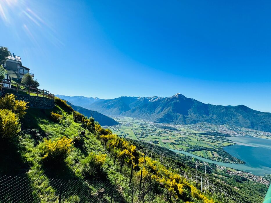 Altalena panoramica sul lago di Como: Escursione + Pranzo Tipico Altalena panoramica sul lago di Como: Escursione + Pranzo Tipico desktop picture