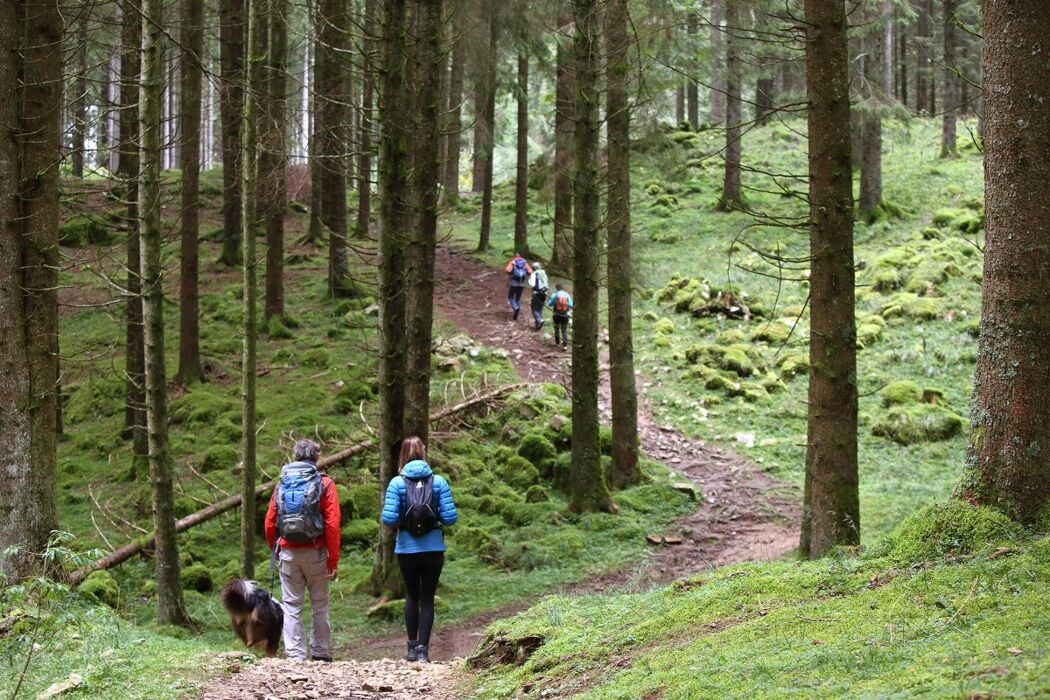 Cansiglio inedito: Pian dell’Erba, Piana di Cadolten con tappa in Malga Cansiglio inedito: Pian dell’Erba, Piana di Cadolten con tappa in Malga desktop picture