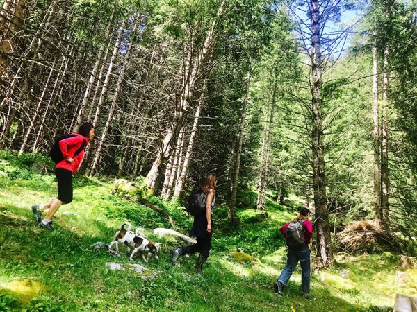 Event card Trekking in Val Ravella tra i massi erratici e gli spiriti del bosco cover image
