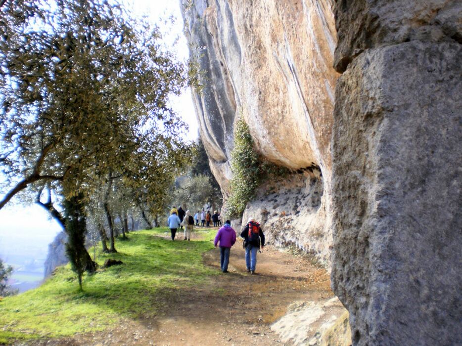 Alla scoperta di covoli, grotte ed erbe spontanee sopra Castegnero Alla scoperta di covoli, grotte ed erbe spontanee sopra Castegnero desktop picture