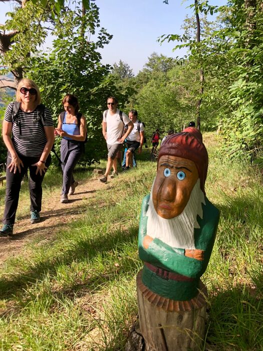 Trekking nel Bosco delle Favole con cena in capanno Trekking nel Bosco delle Favole con cena in capanno desktop picture