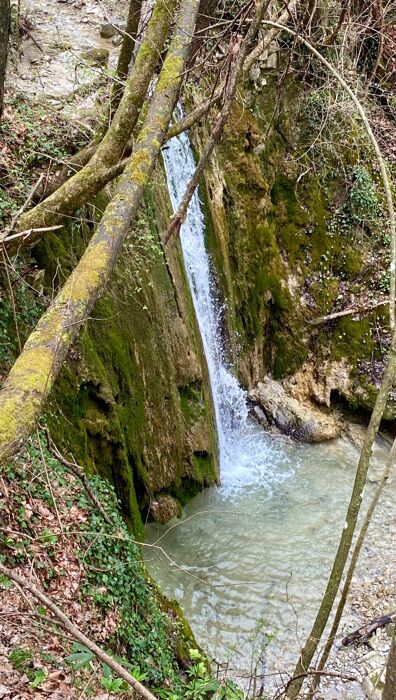 Trekking nel Bosco delle Favole con cena in capanno Trekking nel Bosco delle Favole con cena in capanno desktop picture