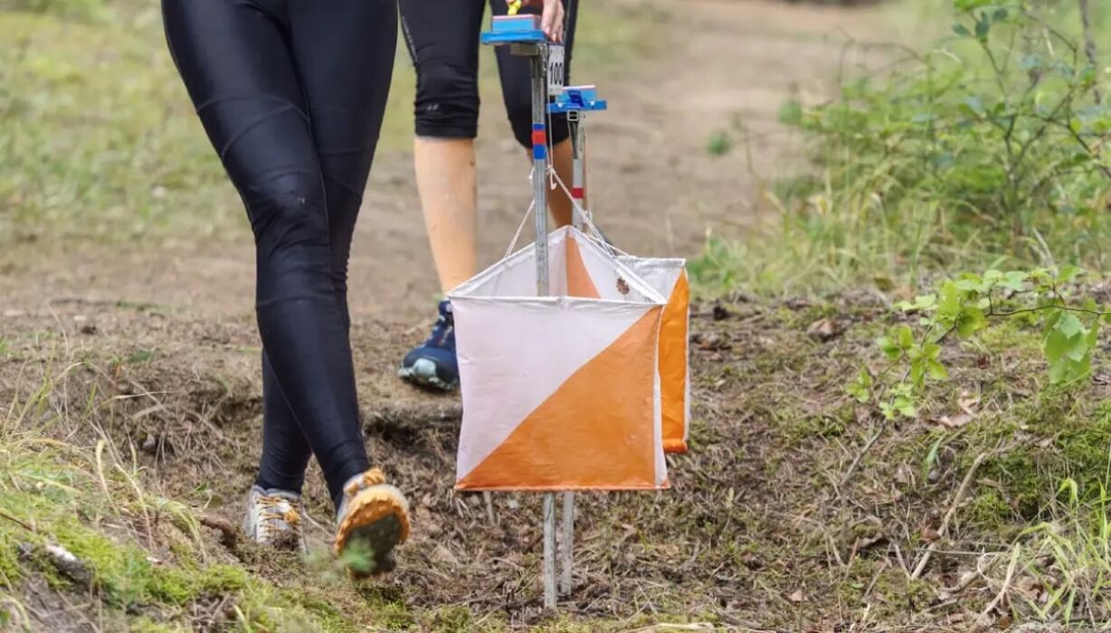 Caccia ai Fossili: Orienteering sulle colline di Cortiglione Caccia ai Fossili: Orienteering sulle colline di Cortiglione desktop picture