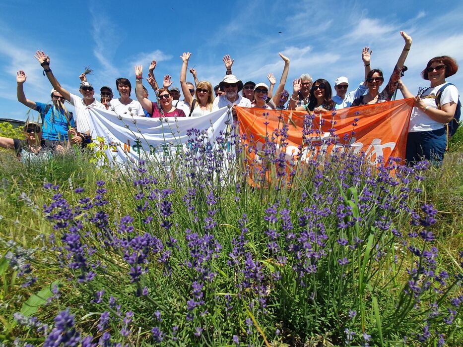 Escursione tra castelli e campi di lavanda del Monferrato Escursione tra castelli e campi di lavanda del Monferrato desktop picture
