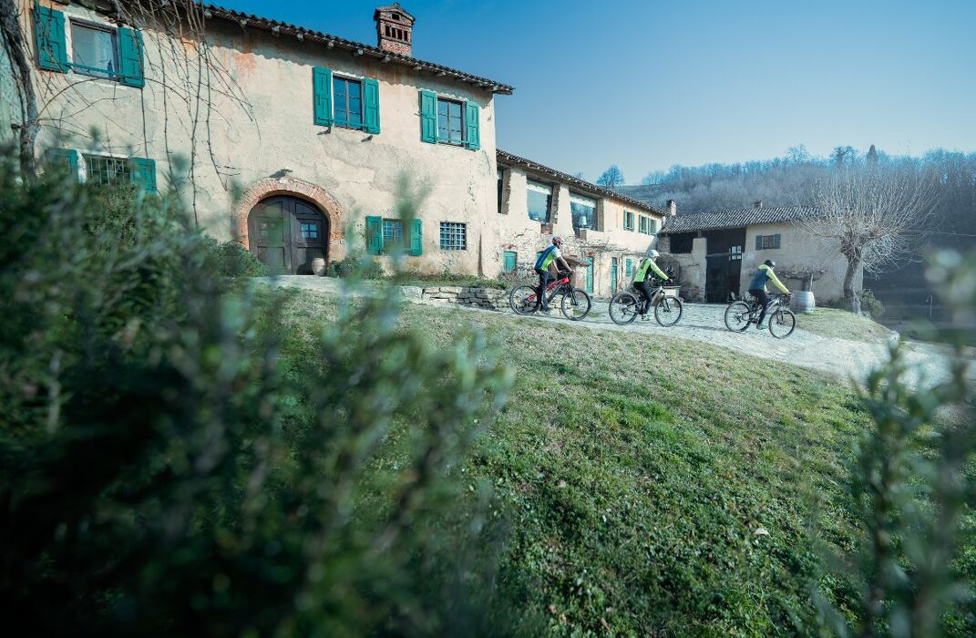 Esperienza in E-BIKE tra i vigneti della Brianza con degustazione Esperienza in E-BIKE tra i vigneti della Brianza con degustazione desktop picture
