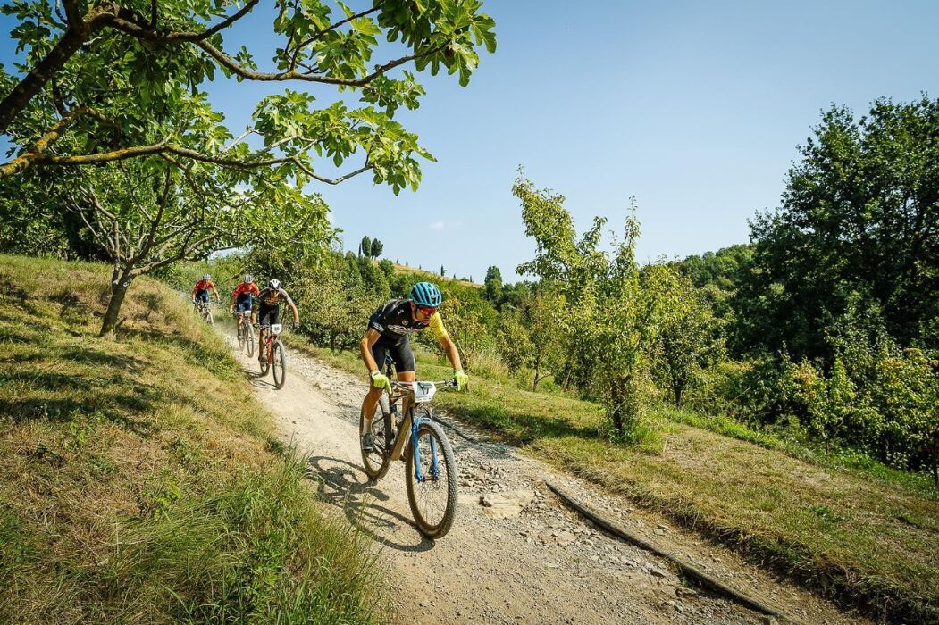 Esperienza in E-BIKE tra i vigneti della Brianza con degustazione Esperienza in E-BIKE tra i vigneti della Brianza con degustazione desktop picture