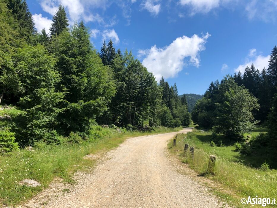 Trekking a Monte Corno e giro al Giardino Botanico Alpino Trekking a Monte Corno e giro al Giardino Botanico Alpino desktop picture