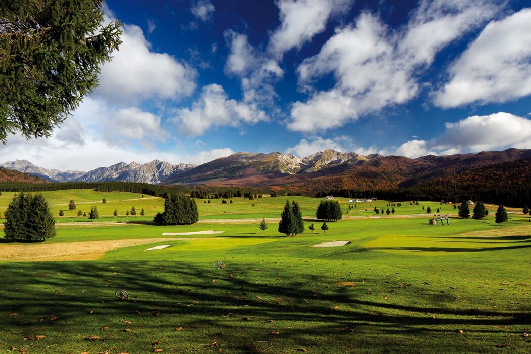 Magico Cansiglio di sera: giardino botanico, trekking e apericena Magico Cansiglio di sera: giardino botanico, trekking e apericena desktop picture