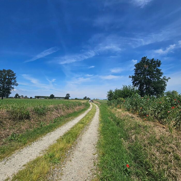 Escursione ad anello: i Cammini del Romanico Escursione ad anello: i Cammini del Romanico desktop picture