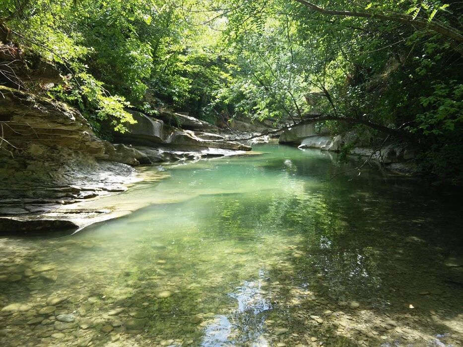 Escursione a Premilcuore: Cascata Urlante e Cascata della Sega Escursione a Premilcuore: Cascata Urlante e Cascata della Sega desktop picture