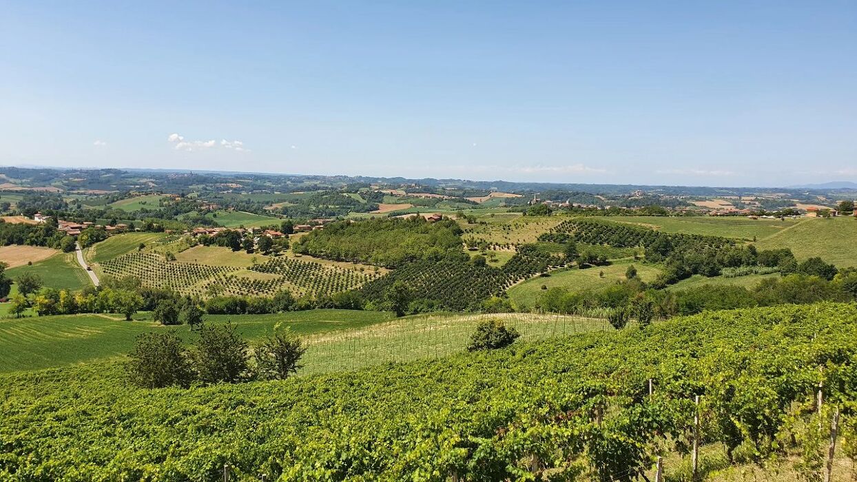 Camminata del Tartufo: Natura e Gusto nel Monferrato Camminata del Tartufo: Natura e Gusto nel Monferrato desktop picture