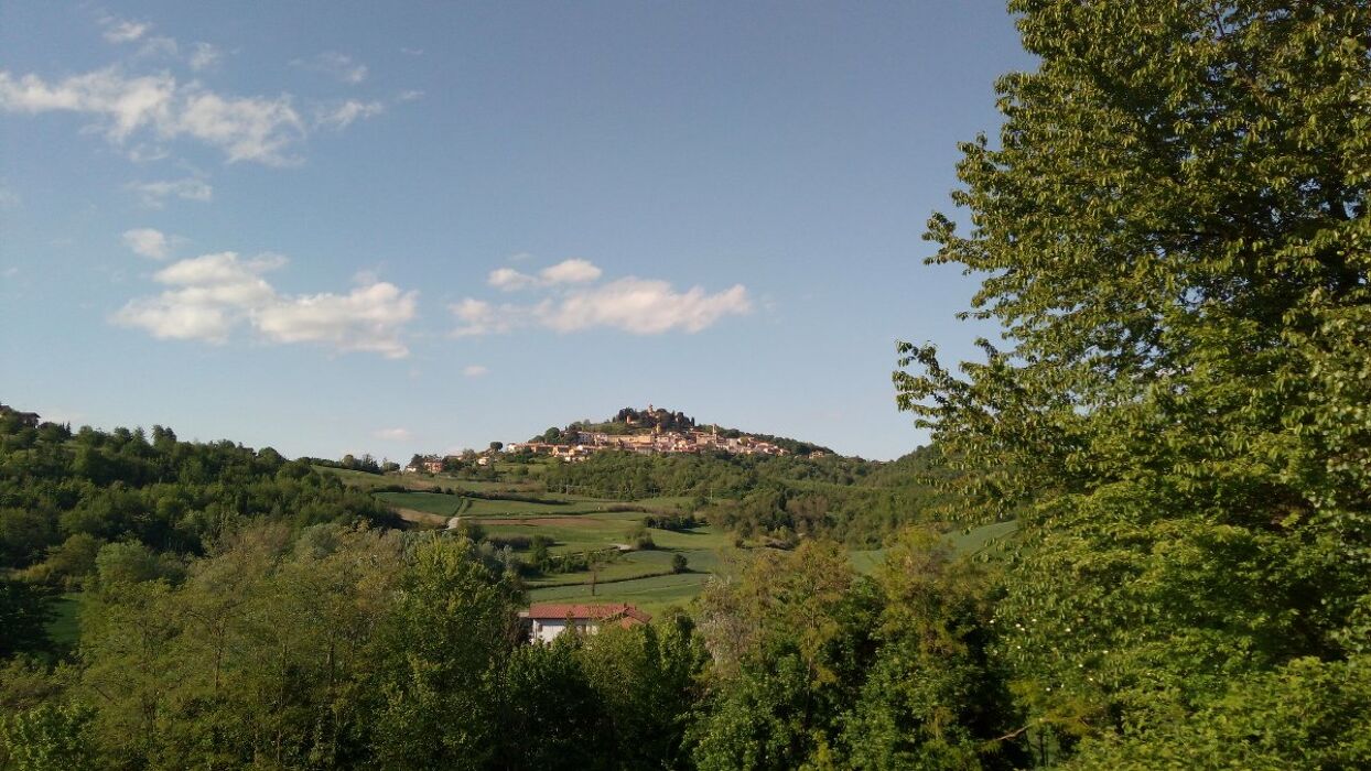 Escursione tra Murisengo e Villadeati: il Cammino di San Michele Escursione tra Murisengo e Villadeati: il Cammino di San Michele desktop picture
