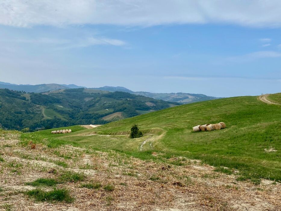 Trekking Quattrocastella: l'ultimo tramonto dell'estate Trekking Quattrocastella: l'ultimo tramonto dell'estate desktop picture