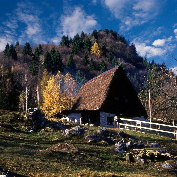 Escursione nel Massiccio del Grappa: il sentiero dei Fojaroi Escursione nel Massiccio del Grappa: il sentiero dei Fojaroi desktop picture