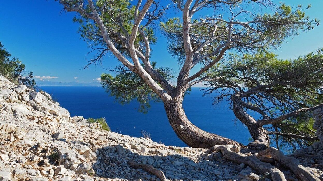 Noli, escursione sul mare: antro dei Falsari e sentiero del Pellegrino Noli, escursione sul mare: antro dei Falsari e sentiero del Pellegrino desktop picture