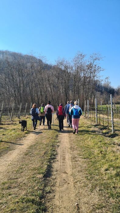 Escursione catena delle Tre Croci nelle Piccole Dolomiti Escursione catena delle Tre Croci nelle Piccole Dolomiti desktop picture