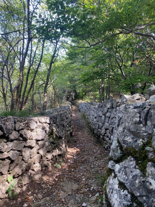 Escursione Linea Cadorna: Monti Orsa e Pravello, la frontiera del Ceresio Escursione Linea Cadorna: Monti Orsa e Pravello, la frontiera del Ceresio desktop picture