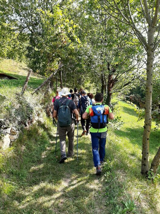 Monte Tenda e Castello di Soave: Escursione tra vigne, cipressi e merlature medievali Monte Tenda e Castello di Soave: Escursione tra vigne, cipressi e merlature medievali desktop picture
