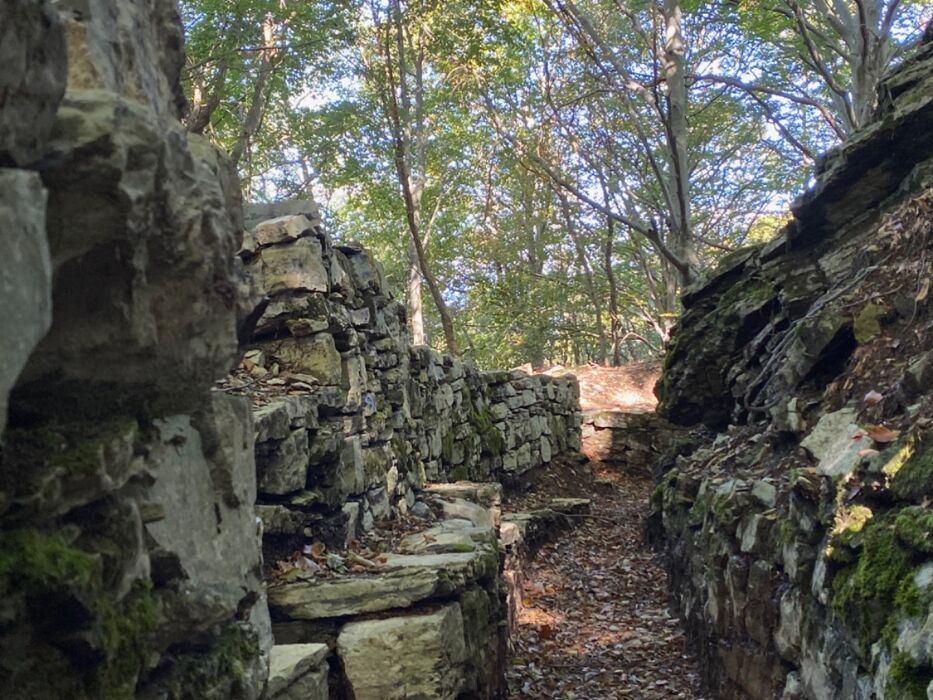 Escursione Storica e Naturale nell'Alta Valle Intelvi: trincee, faggi e contrabbandieri Escursione Storica e Naturale nell'Alta Valle Intelvi: trincee, faggi e contrabbandieri desktop picture