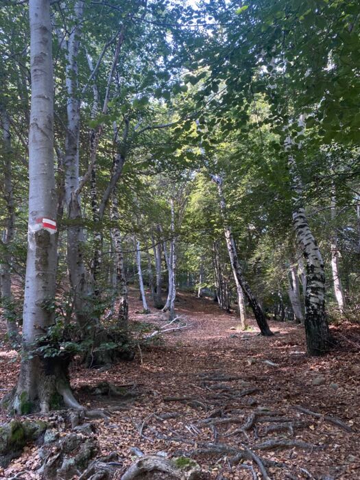 Lago Delio e Monte Borgna tra panorami e leggende Lago Delio e Monte Borgna tra panorami e leggende desktop picture