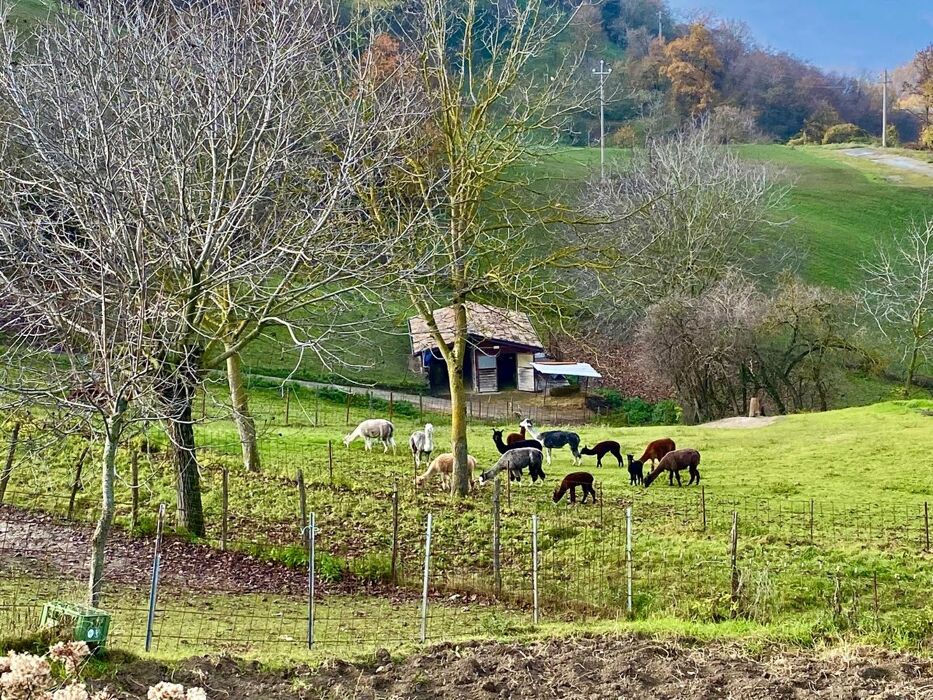 Trekking Via Matildica: tra Antichi Borghi e Suggestivi Laghetti Trekking Via Matildica: tra Antichi Borghi e Suggestivi Laghetti desktop picture
