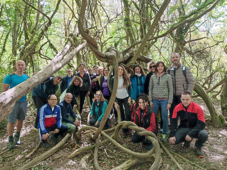 Alla scoperta del Parco del Curone: piramidi, cascine e Montevecchia Alla scoperta del Parco del Curone: piramidi, cascine e Montevecchia desktop picture