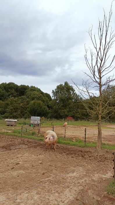 Alla scoperta del Parco del Curone: piramidi, cascine e Montevecchia Alla scoperta del Parco del Curone: piramidi, cascine e Montevecchia desktop picture